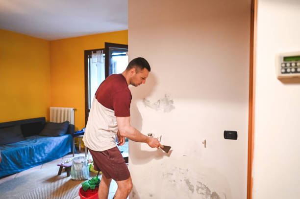 Attic Mold Removal in Seymour, WI
